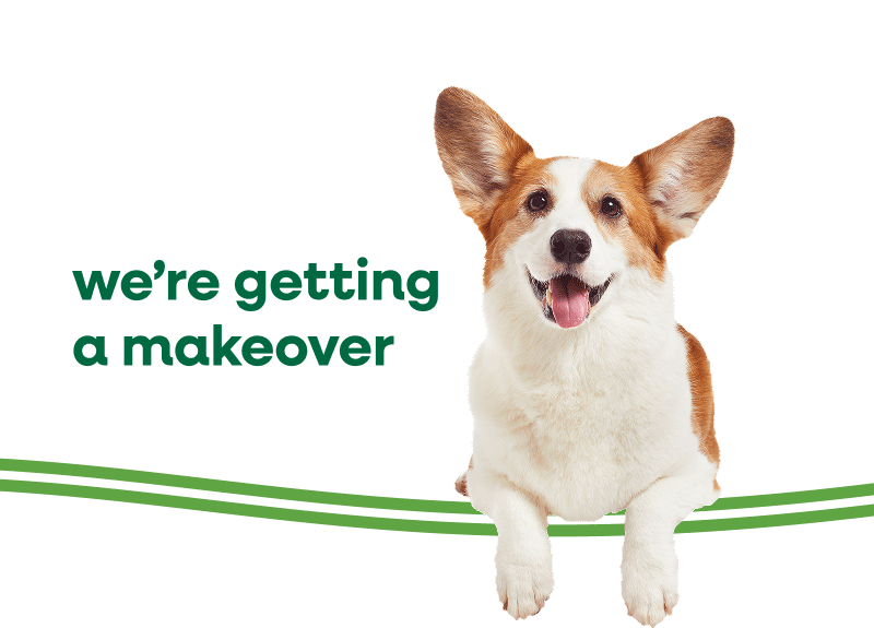 Aussie Pet Mobile Rebranding Header
